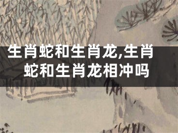 生肖蛇和生肖龙,生肖蛇和生肖龙相冲吗