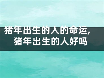 猪年出生的人的命运,猪年出生的人好吗