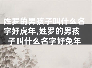 姓罗的男孩子叫什么名字好虎年,姓罗的男孩子叫什么名字好兔年