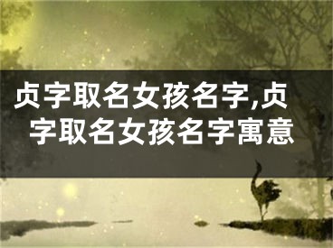 贞字取名女孩名字,贞字取名女孩名字寓意