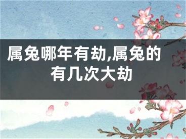 属兔哪年有劫,属兔的有几次大劫