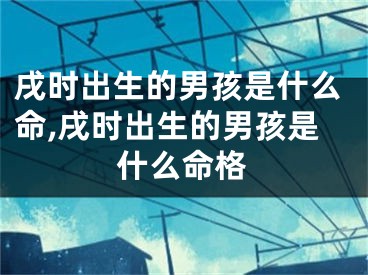 戌时出生的男孩是什么命,戌时出生的男孩是什么命格