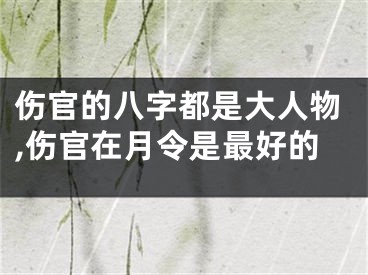 伤官的八字都是大人物,伤官在月令是最好的