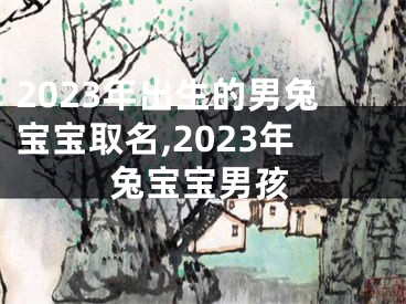 2023年出生的男兔宝宝取名,2023年兔宝宝男孩