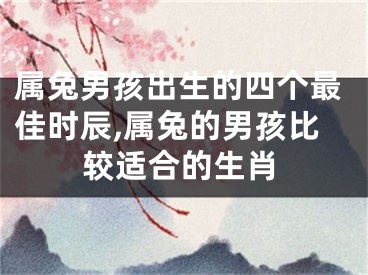 属兔男孩出生的四个最佳时辰,属兔的男孩比较适合的生肖