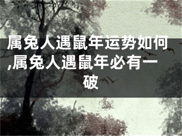 属兔人遇鼠年运势如何,属兔人遇鼠年必有一破