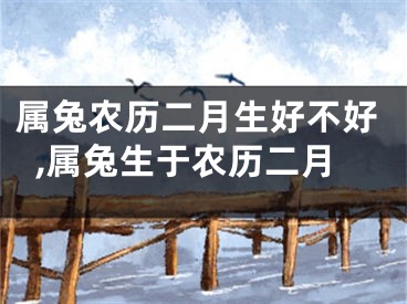 属兔农历二月生好不好,属兔生于农历二月