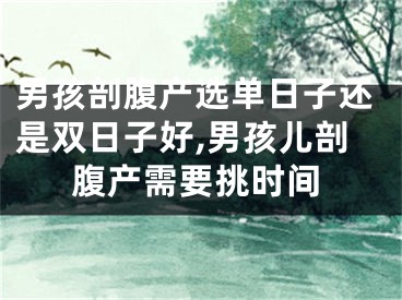 男孩剖腹产选单日子还是双日子好,男孩儿剖腹产需要挑时间