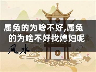 属兔的为啥不好,属兔的为啥不好找媳妇呢