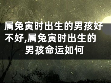 属兔寅时出生的男孩好不好,属兔寅时出生的男孩命运如何