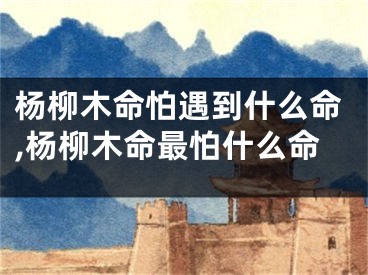 杨柳木命怕遇到什么命,杨柳木命最怕什么命