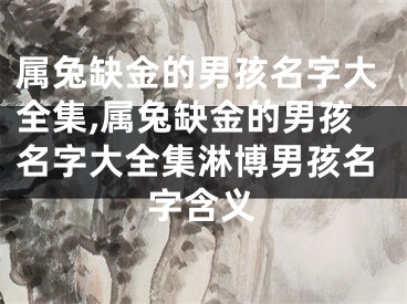 属兔缺金的男孩名字大全集,属兔缺金的男孩名字大全集淋博男孩名字含义
