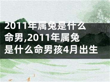 2011年属兔是什么命男,2011年属兔是什么命男孩4月出生