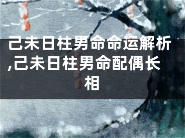 己未日柱男命命运解析,己未日柱男命配偶长相