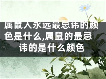 属鼠人永远最忌讳的颜色是什么,属鼠的最忌讳的是什么颜色