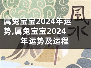 属兔宝宝2024年运势,属兔宝宝2024年运势及运程