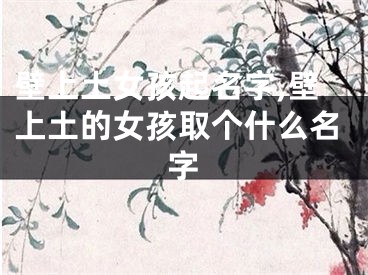 壁上土女孩起名字,壁上土的女孩取个什么名字