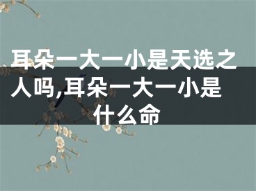 耳朵一大一小是天选之人吗,耳朵一大一小是什么命