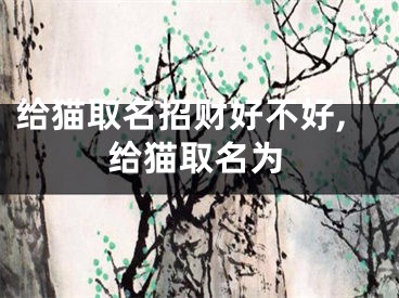 给猫取名招财好不好,给猫取名为