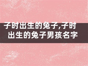 子时出生的兔子,子时出生的兔子男孩名字