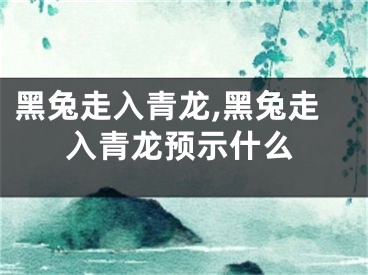 黑兔走入青龙,黑兔走入青龙预示什么