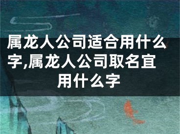 属龙人公司适合用什么字,属龙人公司取名宜用什么字