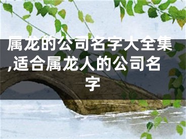 属龙的公司名字大全集,适合属龙人的公司名字