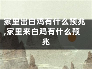 家里出白鸡有什么预兆,家里来白鸡有什么预兆