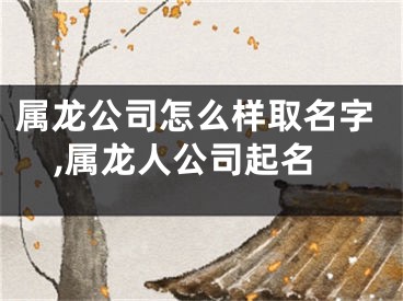属龙公司怎么样取名字,属龙人公司起名
