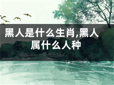 黑人是什么生肖,黑人属什么人种