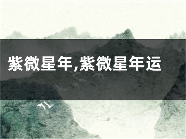 紫微星年,紫微星年运