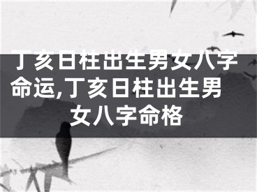 丁亥日柱出生男女八字命运,丁亥日柱出生男女八字命格