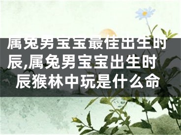属兔男宝宝最佳出生时辰,属兔男宝宝出生时辰猴林中玩是什么命