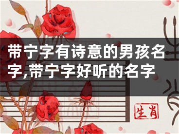 带宁字有诗意的男孩名字,带宁字好听的名字