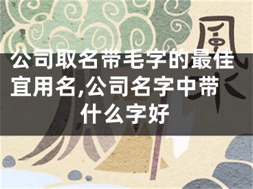 公司取名带毛字的最佳宜用名,公司名字中带什么字好