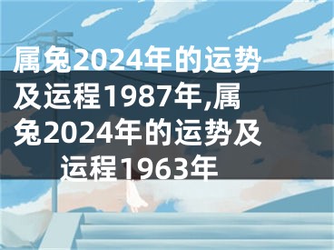属兔2024年的运势及运程1987年,属兔2024年的运势及运程1963年