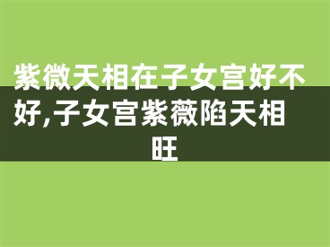 紫微天相在子女宫好不好,子女宫紫薇陷天相旺