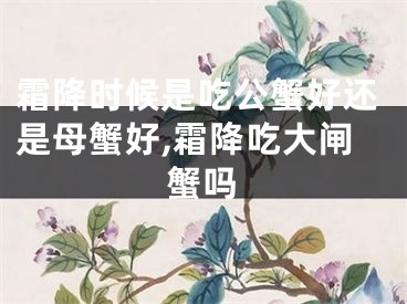 霜降时候是吃公蟹好还是母蟹好,霜降吃大闸蟹吗
