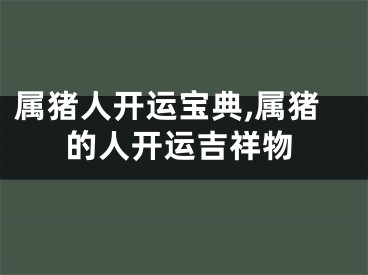 属猪人开运宝典,属猪的人开运吉祥物