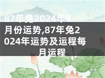 87年兔2024年9月份运势,87年兔2024年运势及运程每月运程