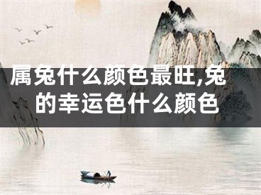 属兔什么颜色最旺,兔的幸运色什么颜色