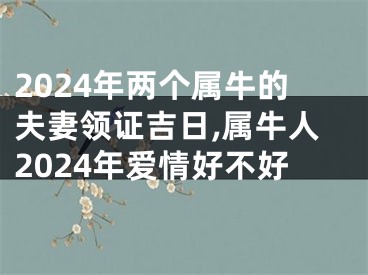 2024年两个属牛的夫妻领证吉日,属牛人2024年爱情好不好