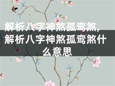 解析八字神煞孤鸾煞,解析八字神煞孤鸾煞什么意思
