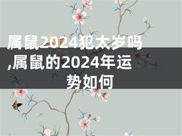 属鼠2024犯太岁吗,属鼠的2024年运势如何