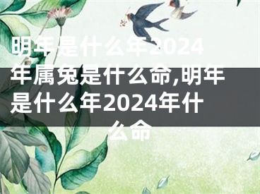 明年是什么年2024年属兔是什么命,明年是什么年2024年什么命