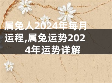属兔人2024年每月运程,属兔运势2024年运势详解