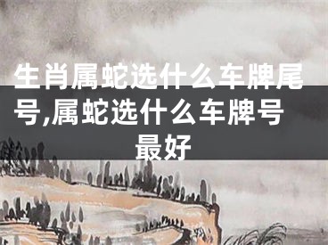 生肖属蛇选什么车牌尾号,属蛇选什么车牌号最好