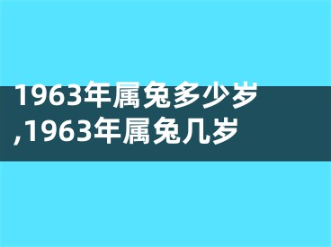1963年属兔多少岁,1963年属兔几岁