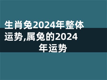 生肖兔2024年整体运势,属兔的2024年运势
