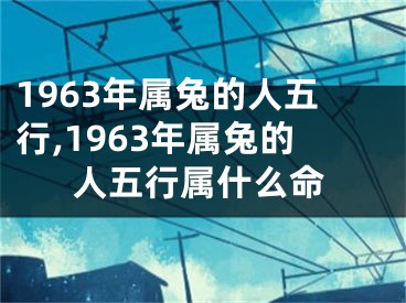 1963年属兔的人五行,1963年属兔的人五行属什么命